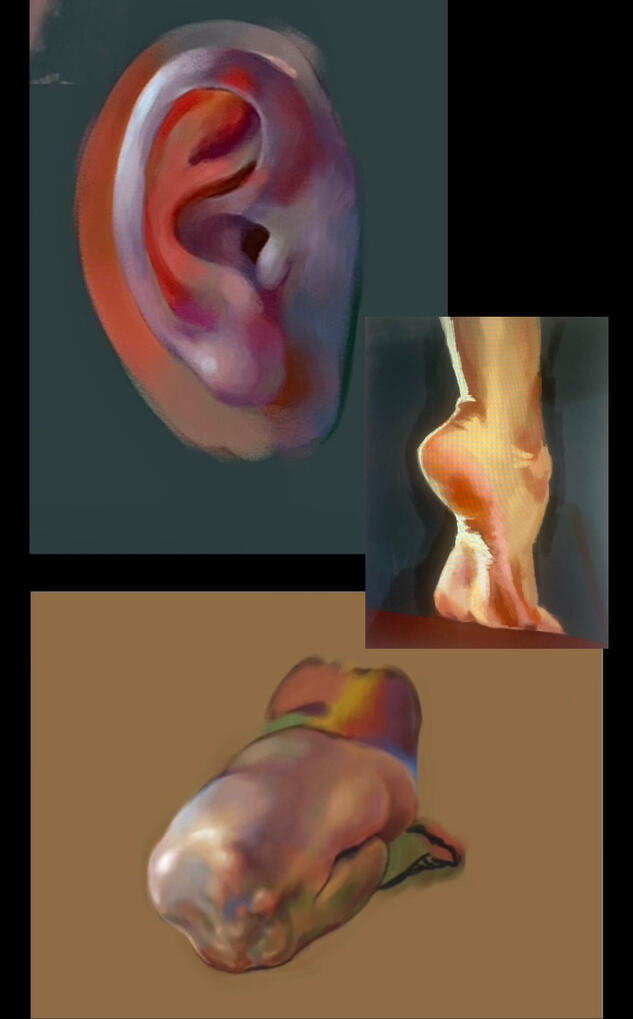 Color/anatomy practice, digital